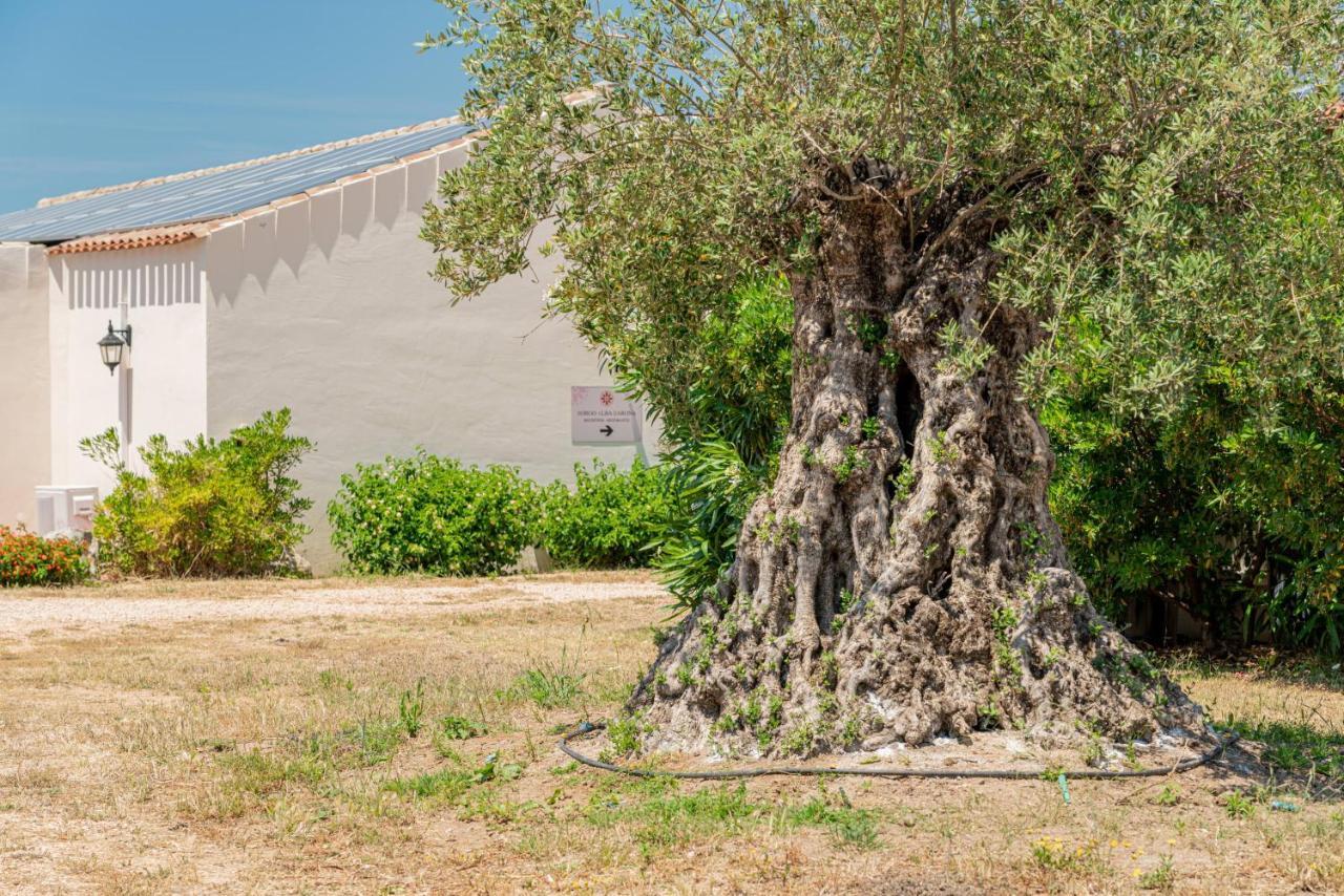 Borgo Alba Barona Turismo Rurale Golfo Aranci Exterior foto